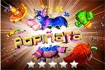 Playpro game